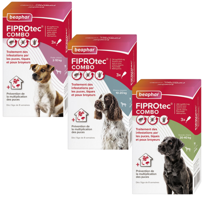 Fiprotec Combo - BEAPHAR pour chiens | Protection efficace contre les parasites
