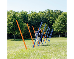 Piquets Slalom Agility pour chien - Activités fitness et agilité