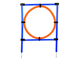 Anneau d'Agility pour chiens - Matériaux durables et design innovant