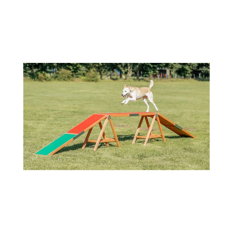 Passerelle Fun Agility Dogwalk - Agility et jeux pour chiens