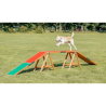 Passerelle Fun Agility Dogwalk - Agility et jeux pour chiens