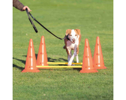 Set d'obstacles pour chiens - Activité d'agility pour moyens et grands chiens