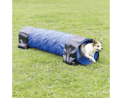 Tunnel d'agility pour chiots et petits chiens | Équipement de fitness