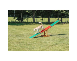 Balancelle Fun Agility Balançoire - Entraînement pour Chiens