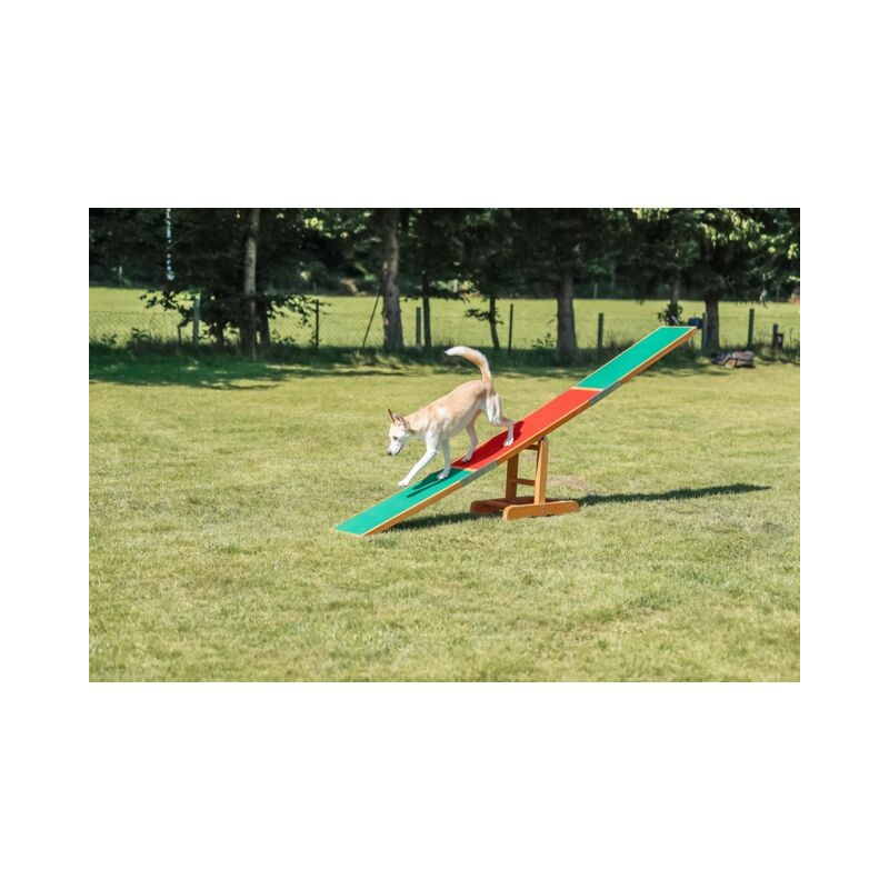 Balancelle Fun Agility Balançoire - Entraînement pour Chiens