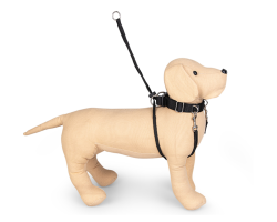 Harnais anti-traction nylon noir – Contrôle et confort pour chiens