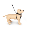 Harnais anti-traction nylon noir – Contrôle et confort pour chiens