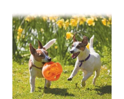 KONG® Jumbler Ball - Jouet interactif pour chiens