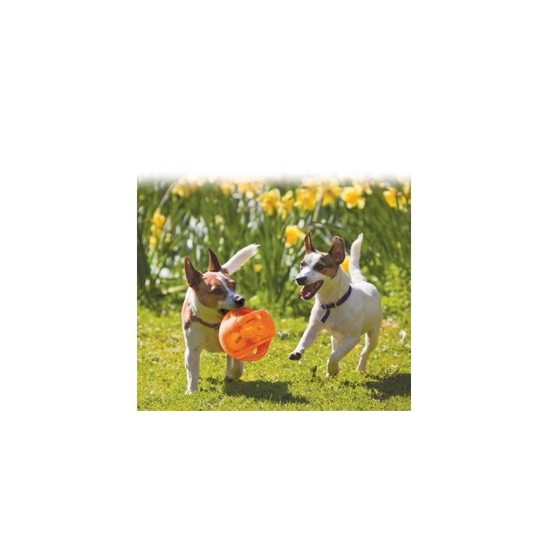 KONG® Jumbler Ball - Jouet interactif pour chiens