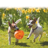 KONG® Jumbler Ball - Jouet interactif pour chiens