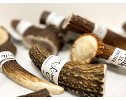 Bois de cerf - Friandises naturelles à mâcher pour chien