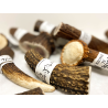 Bois de cerf - Friandises naturelles à mâcher pour chien