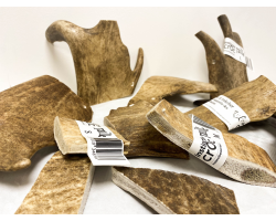 Bois de daim - Instinctiv crOc pour chien | Friandises naturelles à mâcher