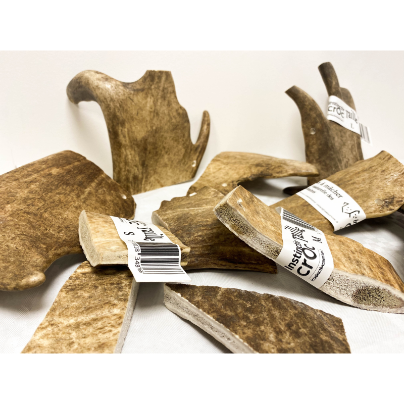 Bois de daim - Instinctiv crOc pour chien | Friandises naturelles à mâcher