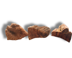 Racine de bruyère 100% naturelle pour chiens | Hygiène bucco-dentaire