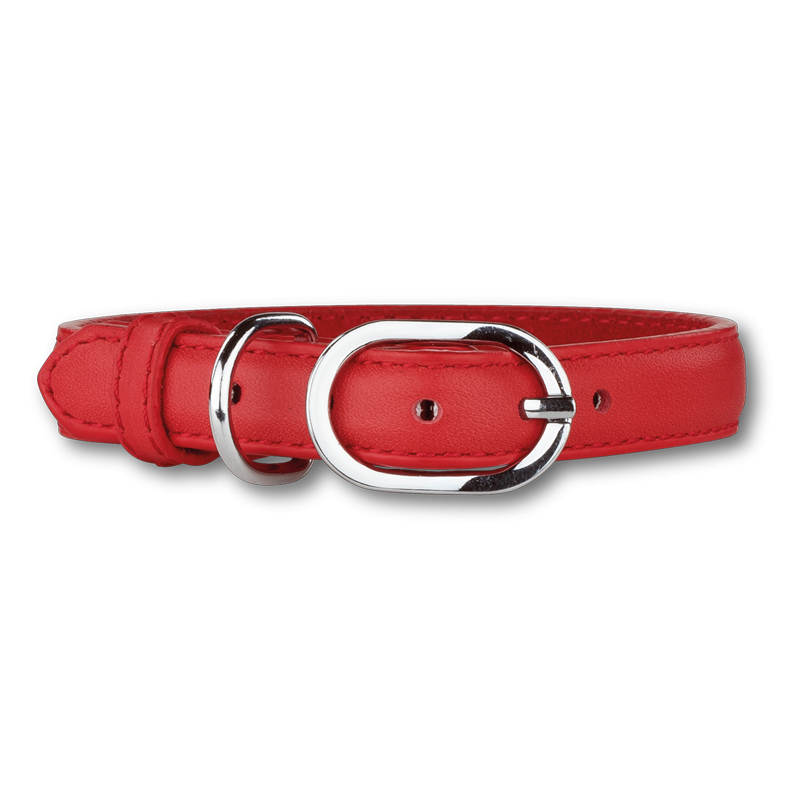 Collier chien Doxtasy Red / Silver en cuir - Confort et style
