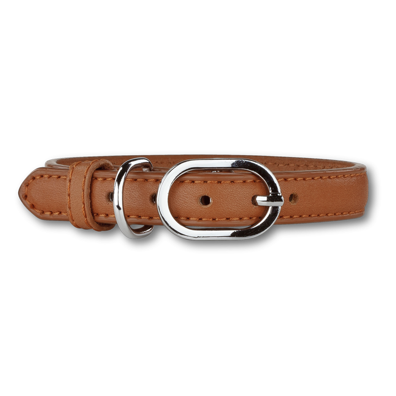Collier chien Doxtasy Cognac - Chic et robuste
