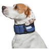 Collier rafraîchissant Aqua Coolkeeper Pacific Blue pour chiens