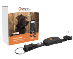 Collier GPS pour chien Weenect XT - Robustesse et Fiabilité