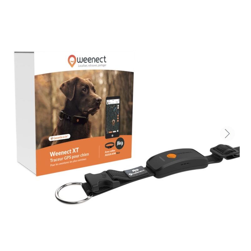 Collier GPS pour chien Weenect XT - Robustesse et Fiabilité
