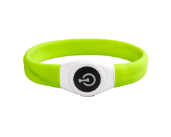 Collier lumineux vert pour chien - Sécurité nocturne