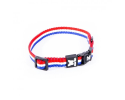 Collier tricolore pour chien - Style et confort | Boutique Chiens