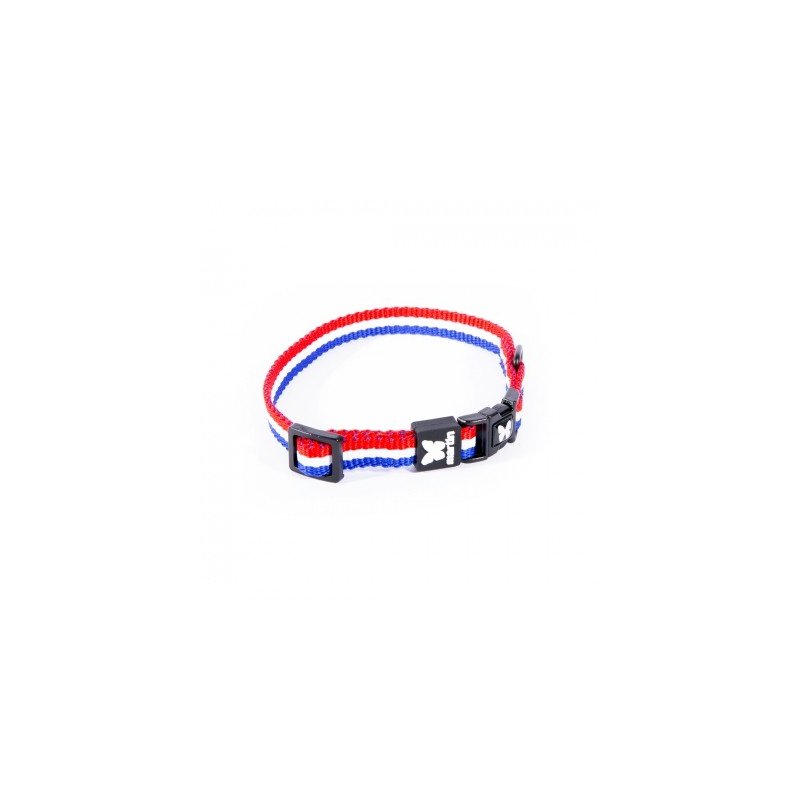 Collier tricolore pour chien - Style et confort | Boutique Chiens