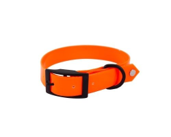 Collier fluo chasse pour chiens - Sécurité et visibilité