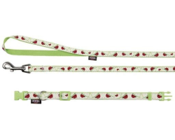 Collier avec laisse Glow in the Dark pour chiens - Sécurité et style