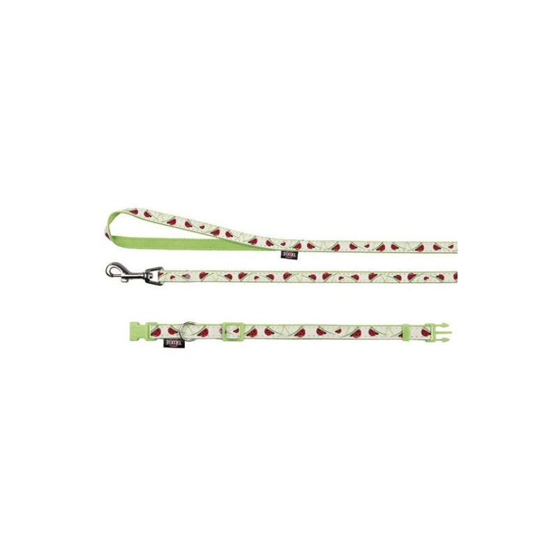 Collier avec laisse Glow in the Dark pour chiens - Sécurité et style