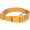 Collier Premium Curry TRIXIE pour chiens - Confort et Style