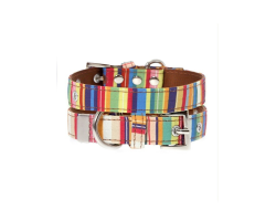 Collier Urban Pup Henley Striped pour chiens - Élégance et confort