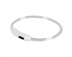 Collier lumineux SEEcurity - sécurité et style pour votre chien