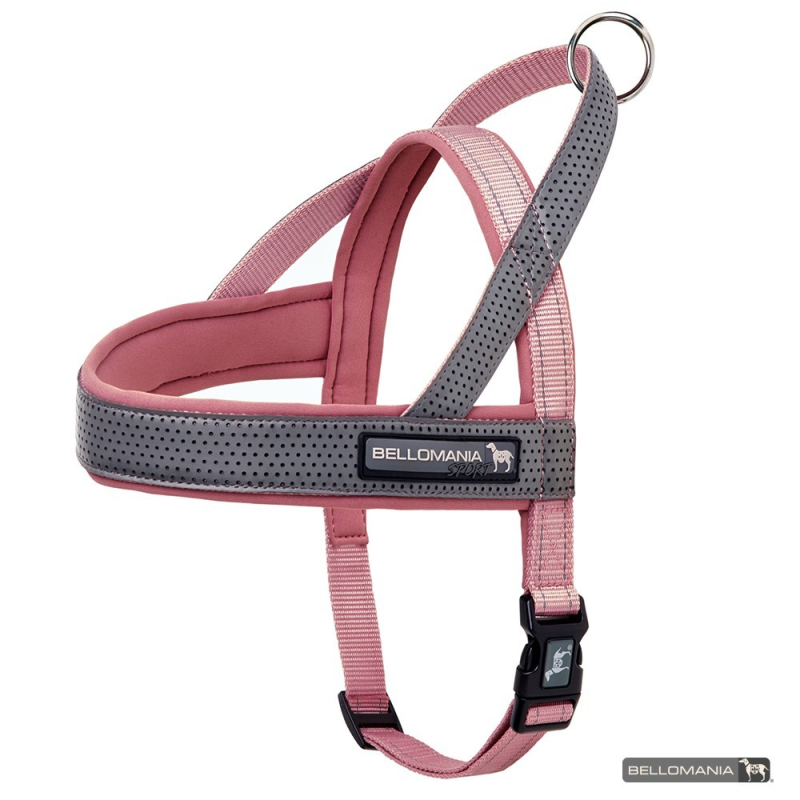 Harnais Quickfit Sport BELLOMANIA - Confort et Sécurité pour Chiens
