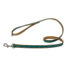 Laisse en cuir Artleather Coco's Choice Green/Beige pour chiens