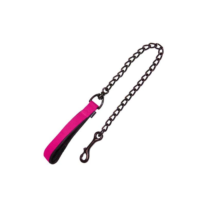 Laisse métallique Classic pour chiens - Robustesse et style