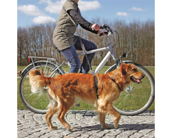 Laisse vélo et jogging pour chiens | Sécurisée et extensible