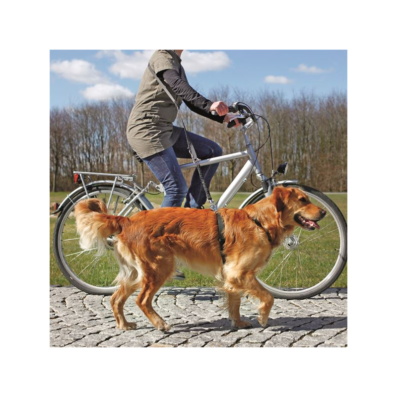 Laisse vélo et jogging pour chiens | Sécurisée et extensible