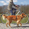 Laisse vélo et jogging pour chiens | Sécurisée et extensible