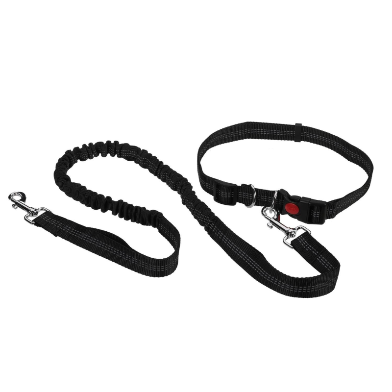 Ensemble mains-libres pour chiens : laisse extensible et ceinture ajustable noire
