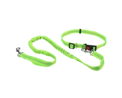 Ensemble mains-libres - Laisse extensible + ceinture - fluo pour chiens