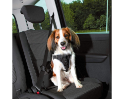 Harnais pour voiture Dog Comfort - Sécurité et confort pour chiens