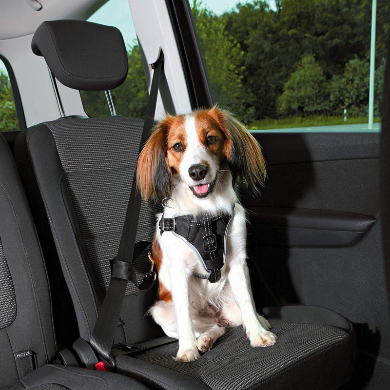 Harnais pour voiture Dog Comfort - Sécurité et confort pour chiens