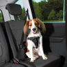 Harnais pour voiture Dog Comfort - Sécurité et confort pour chiens