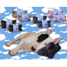 Oreiller en forme d'os pour chiens Dream Pillow - Confort & Style