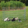 Enclos pour chiots galvanisé TRIXIE | Sécurité et confort