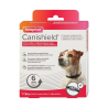 Collier Canishield antiparasitaire pour chiens - Protection optimale