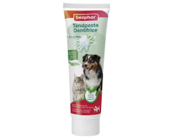 Dentifrice menthe persil 100g pour chiens et chats - Beaphar