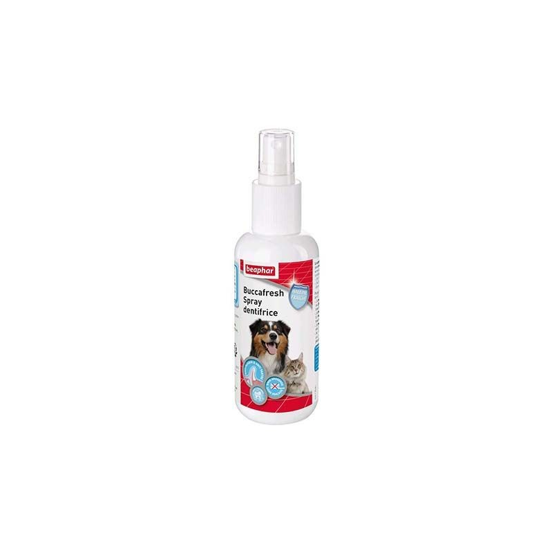 Spray dentifrice pour chien et chat | Beaphar