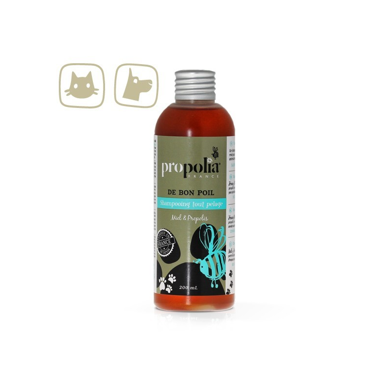 Shampooing tout pelage à base de propolis et miel pour chiens | Naturel et doux